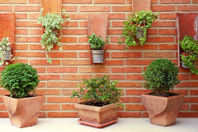🌿 Como Fazer um Jardim Vertical no Muro da Varanda: Ideias Fáceis e Baratas