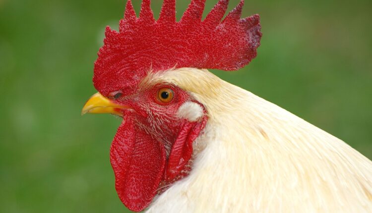 Torneiras com filtro: vale a pena ou é só moda?