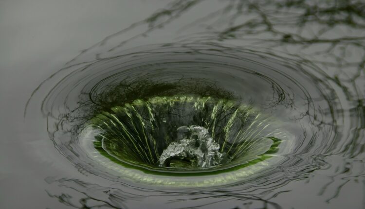 O truque simples que evita entupimentos no ralo do banheiro