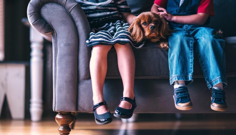 A combinação de móveis que deixa sua sala mais espaçosa